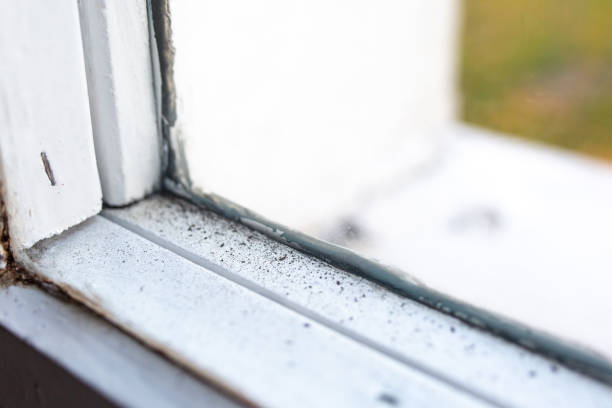 Best Post-Construction Mold Inspection  in Waynesburg, OH